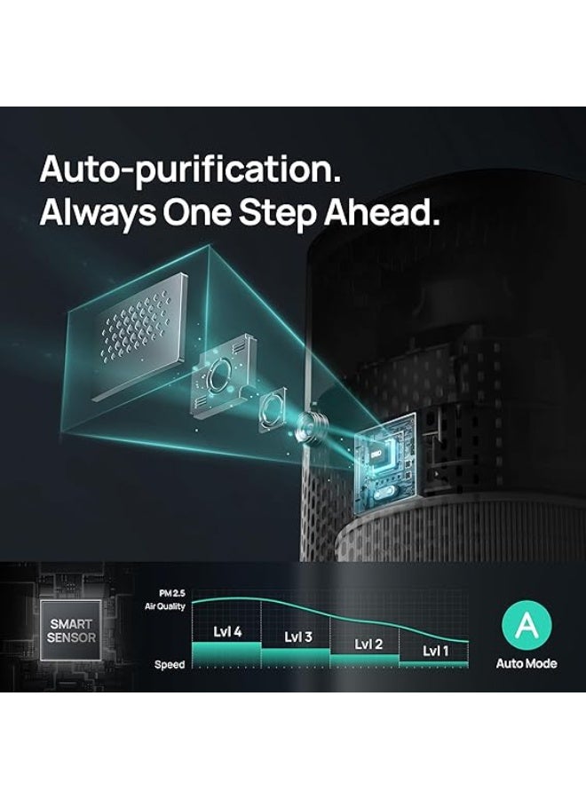 دريو DREO Macro AP605S - Image 5